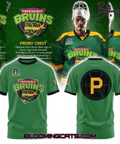 Providence Bruins “Turtle Powered” Teenage Mutant Ninja Turtles Shirt