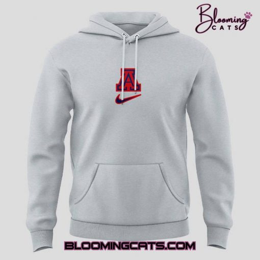 Arizona Cardinals NFL 2025 Limited Edition Grey Hoodie