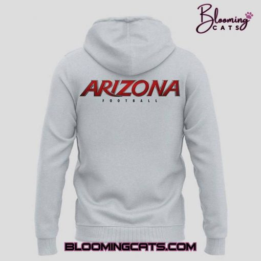 Arizona Cardinals NFL 2025 Limited Edition Grey Hoodie