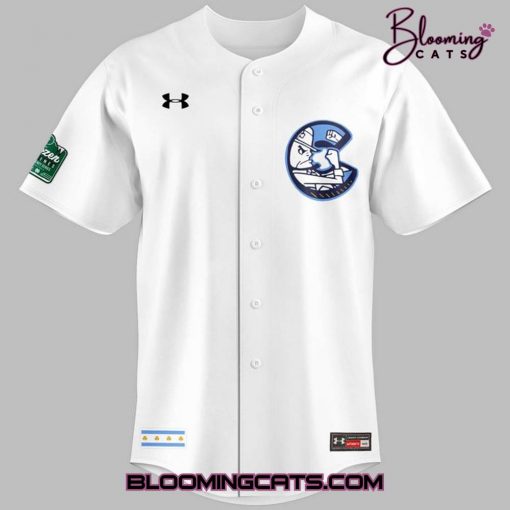Notre Dame Fighting Irish Chicago Cubs 2025 White Jersey