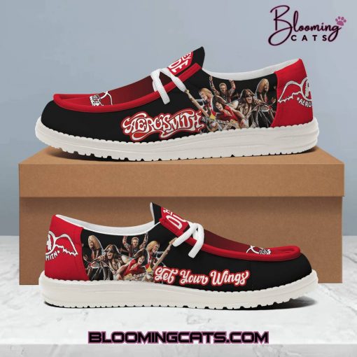 Aerosmith “Let Your Wings” 2025 Limited Edition Hey Dude Shoes