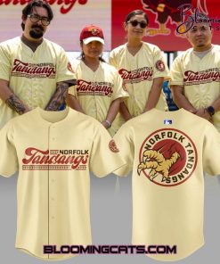 Norfolk Tides x Filipino American Heritage 2025 Jersey
