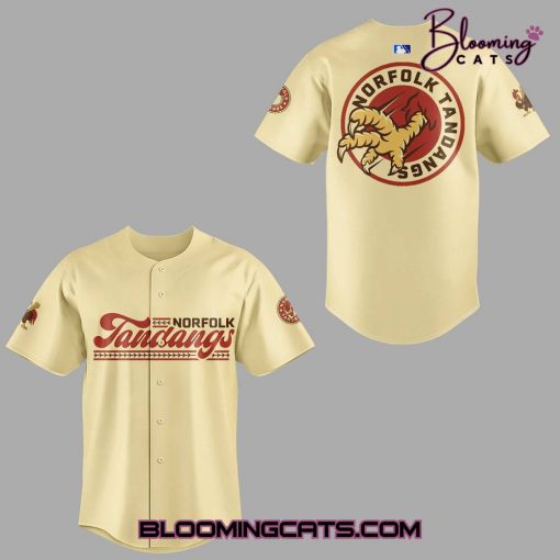 Norfolk Tides x Filipino American Heritage 2025 Jersey