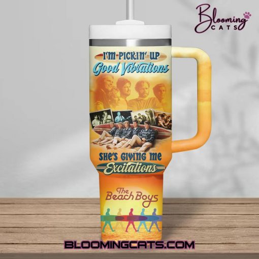 The Beach Boys “The Sounds Of Summer Tour” 2025 Stanley Tumbler
