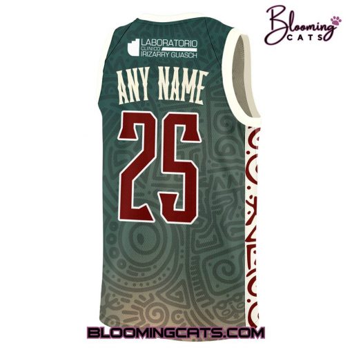 Indios de Mayagüez Special Basketball Jersey