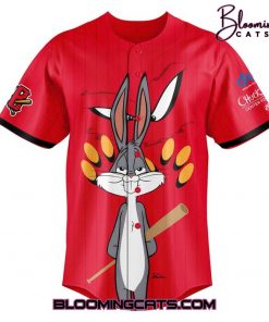 Schaumburg Boomers x Looney Tunes 2025 Jersey
