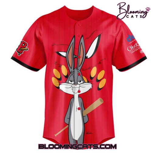 Schaumburg Boomers x Looney Tunes 2025 Jersey