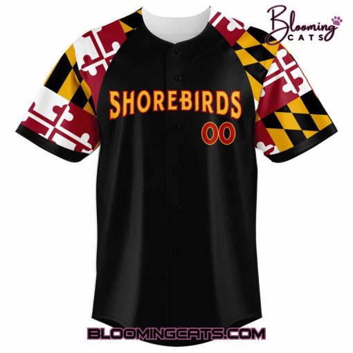Shorebirds Maryland Pride Jackson Holliday Jersey