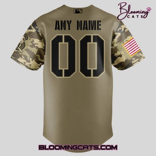 Springfield Cardinals Military Appreciation Night 2025 Jersey