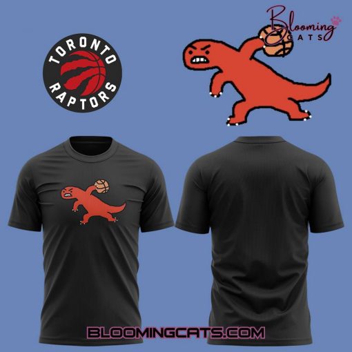 Toronto Raptors Special New Design T-Shirt
