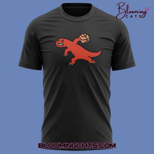 Toronto Raptors Special New Design T-Shirt